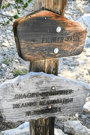 pioneer basin